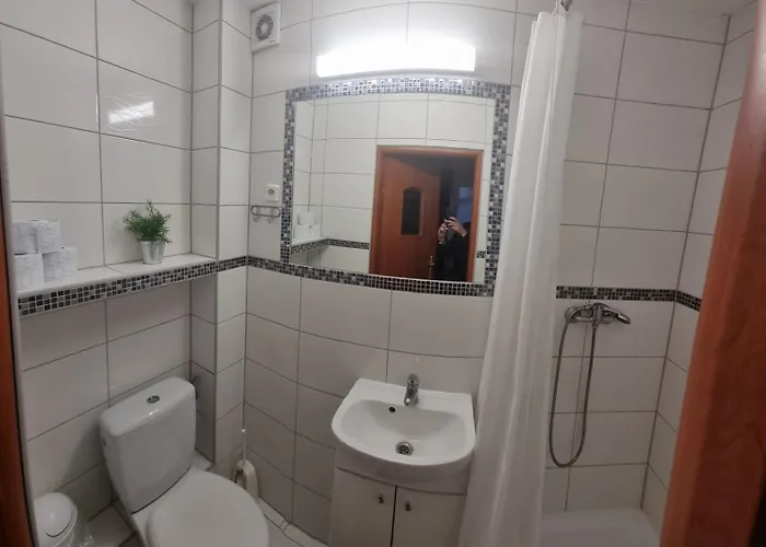 Goscinne Syrenka 3*